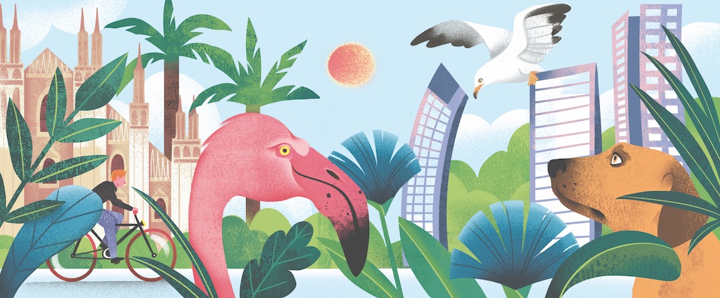 Illustrazione di Francesca Rosa