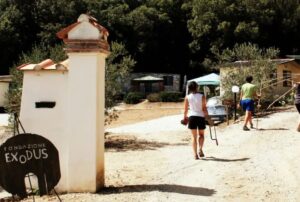 I ragazzi della Mammoletta
